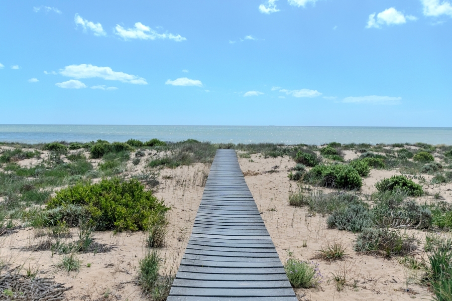 3 Bedroom Property for Sale in Atlantic Waves Estate Western Cape